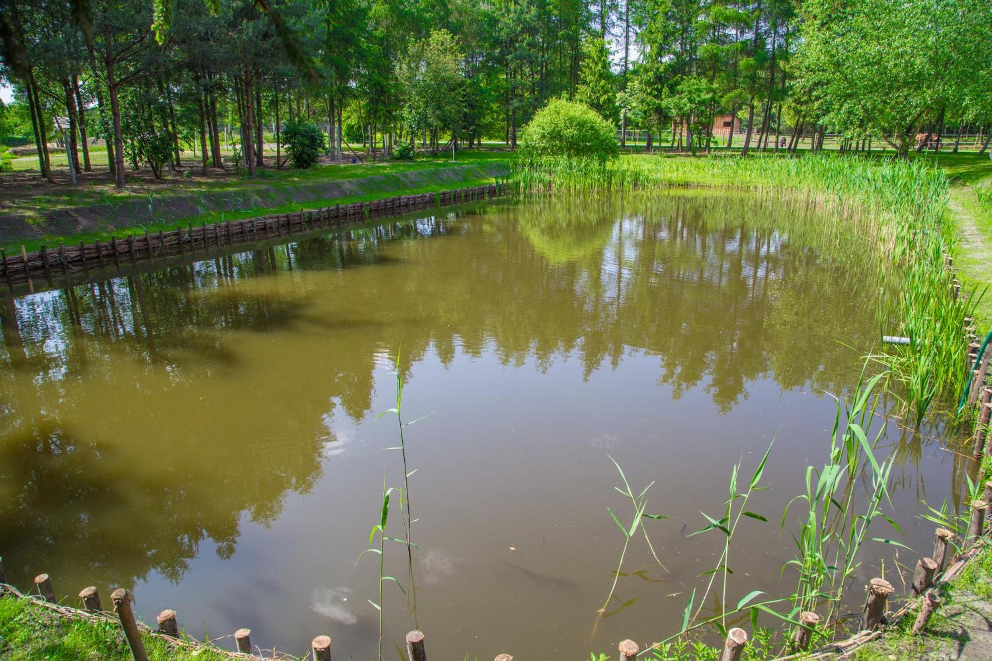 Agroturystyka Olszynka Skopanie Exterior foto